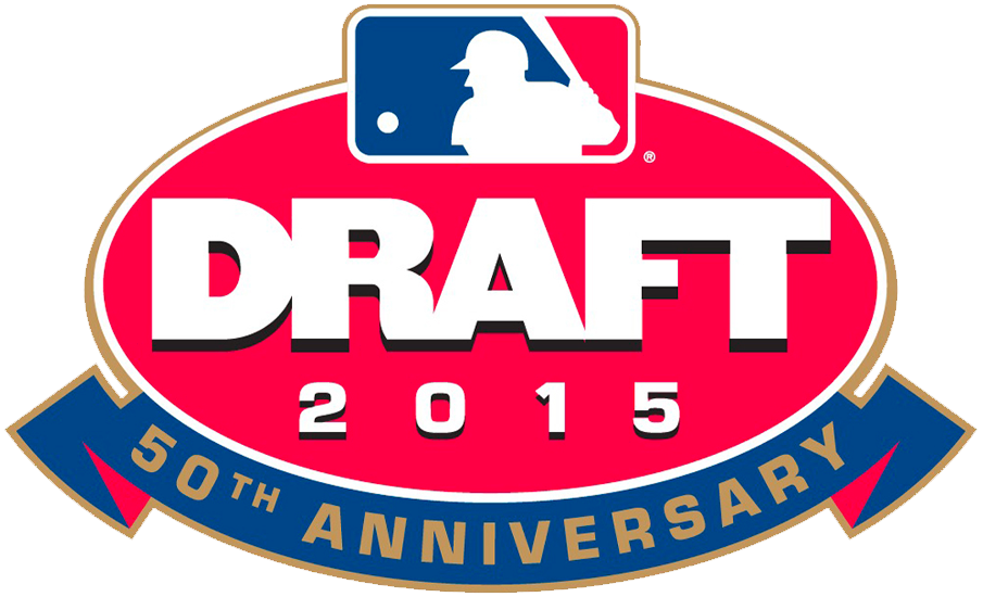 MLB Draft 2015 Primary Logo iron on transfers for clothing
